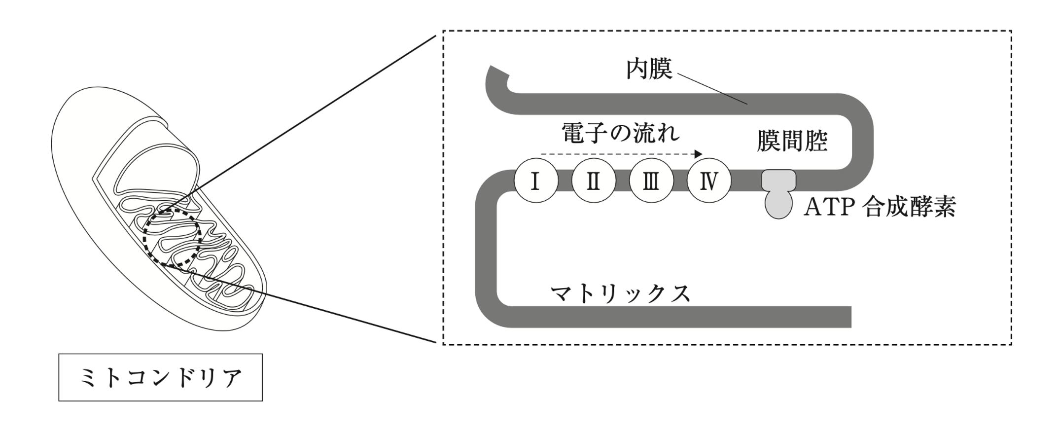 解説画像